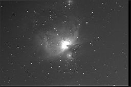 orion nebula bw.jpg